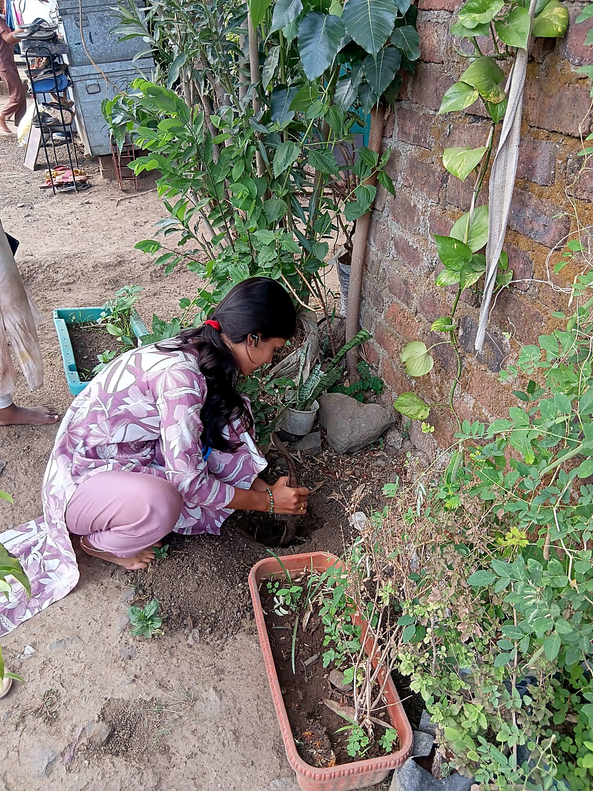 रोपाची लागवड करताना माती खोदून तयारी